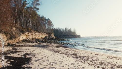 Wallpaper Mural Baltic Sea Shoreline with Pine Forest and Gentle Waves Torontodigital.ca