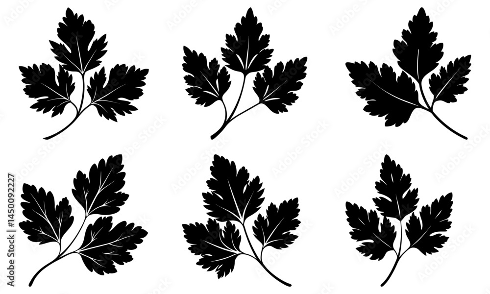 Fototapeta premium Cilantro silhouette vector