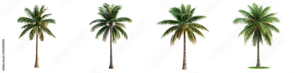 Obraz premium Tropical palm trees in a peaceful beach scene