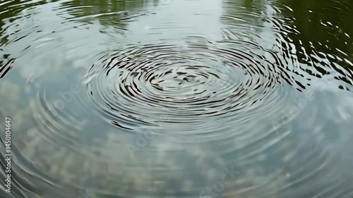 Calm Water Ripples Expanding Reflecting Peaceful Pond Surface