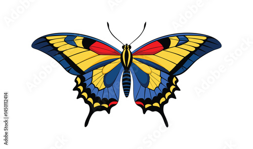 butterfly on white background