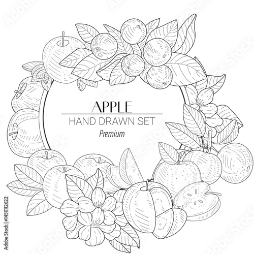 Hand-drawn vector set featuring whole apples, sliced apples, apple blossoms, and leaves. Great for autumn themes, organic food packaging, and farm branding.
