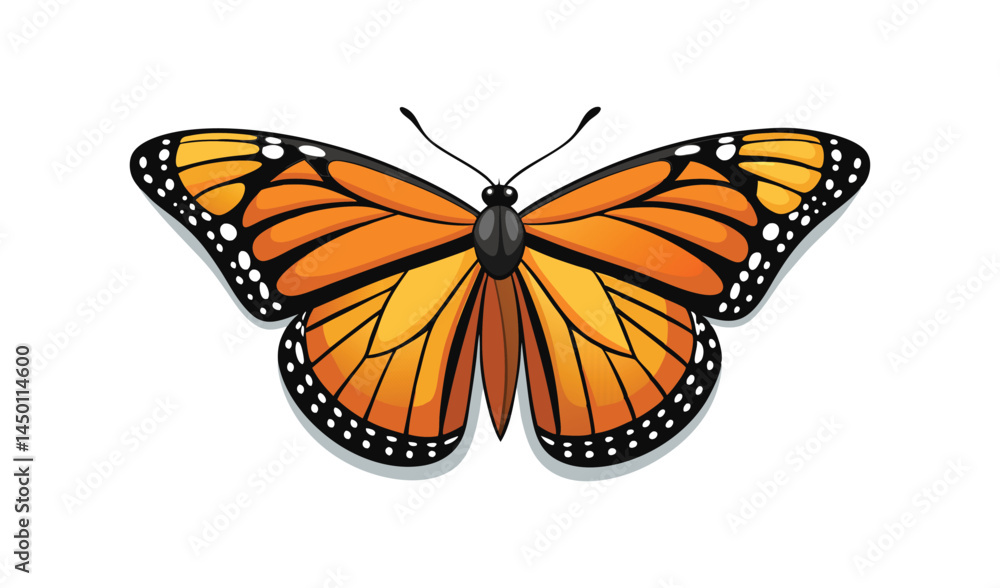 Fototapeta premium butterfly on white background