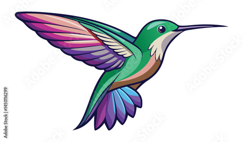 vector illustration of an hummingbird