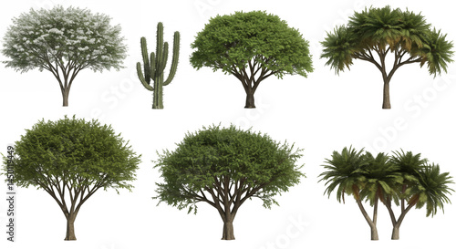 Wallpaper Mural Isolated Assorted Trees and Cactus with Green Foliage on Transparent Background Perfect for Nature Illustrations and Landscape Design Elements Torontodigital.ca