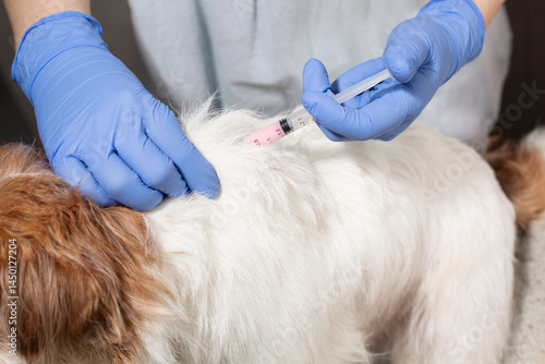 Injection procedure in dog scruff area