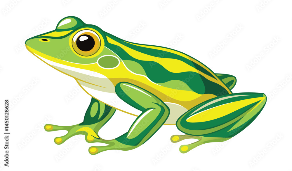 Obraz premium frog on white background