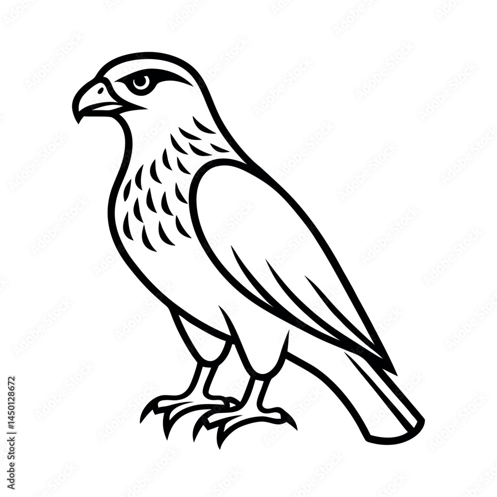 Red Tailed Hawk Outline Bird Illustration Red Tailed Hawk Outline Bird Illustration