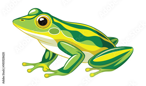 frog on white background