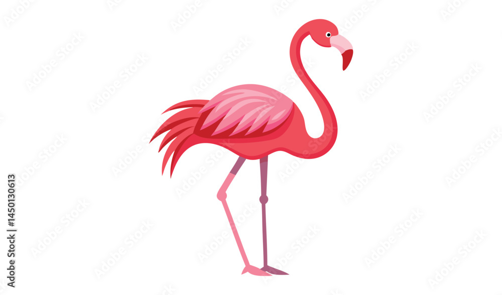 Fototapeta premium Pink flamingo bird vector illustration graphic