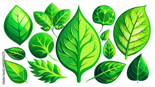 A curated set of vibrant green leaf vectors.
Each shape captures the elegance of natural growth.
Perfect for eco logos, organic packaging, and decor.
Designed in EPS 10 for clean and scalable use.