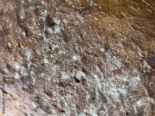 High-resolution image of ru...