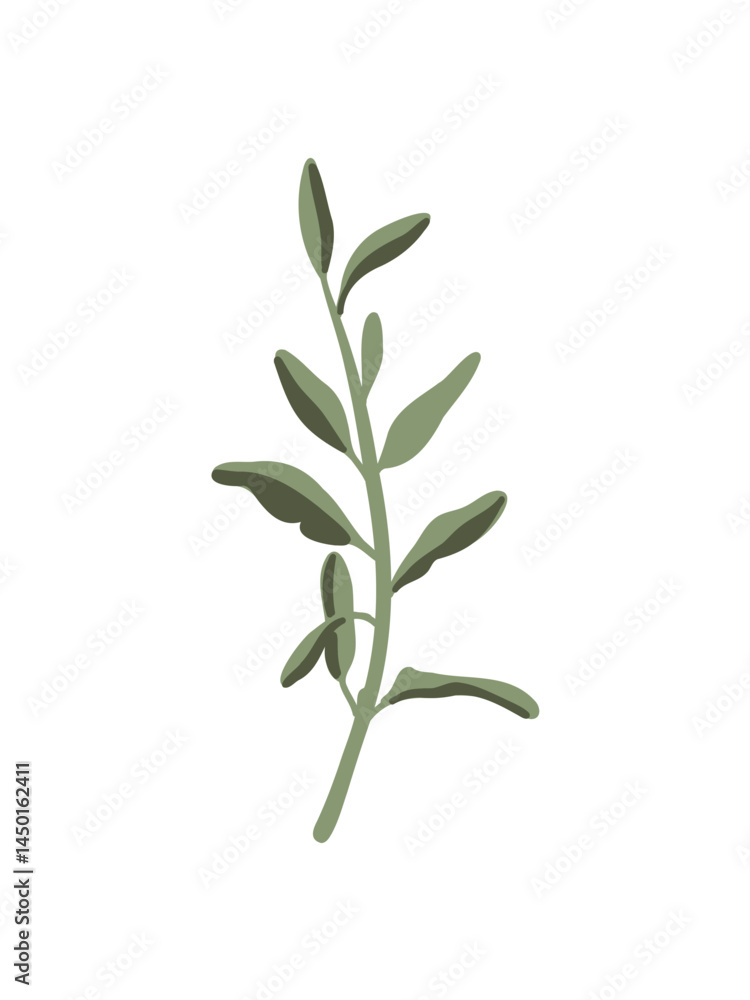 Obraz premium vector icon of aromatic herbs