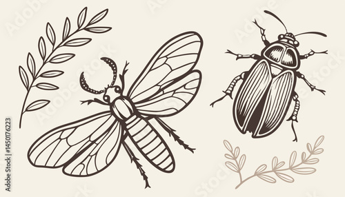 Hand-sketched insects collection. Hand drawn beetles, bugs, butterflies, dragonfly, cicada, moths, bee set in vintage style. Entomological vector drawings