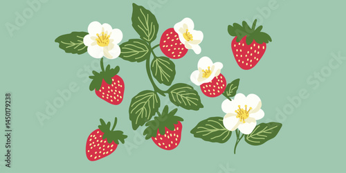 berry and flower vector