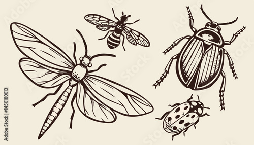 set of insects
