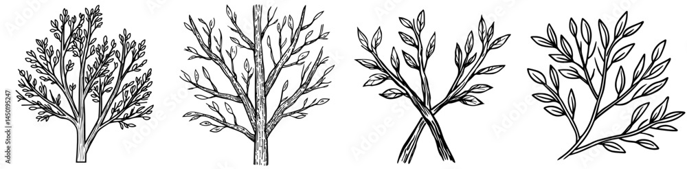 A cartoon Thanksgiving font design element featuring an isolated math equal sign made of bare tree branches in a modern alphabet typeface A cartoon Thanksgiving font design element featuring an isolated math equal sign made of bare tree branches in a modern alphabet typeface