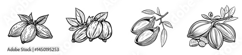 Cumin or caraway seeds represent a standalone culinary herb symbol, utilized in modern food as a seasoning and derived from an organic plant also employed in traditional medicine