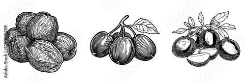 Dried grapes that are isolated and sketched as raisins represent a modern sugared fruit dessert