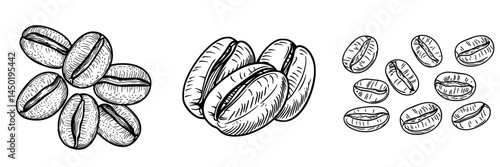 Isolated aromatic brown beans from roasted coffee seeds make up modern aromatic grains used in espresso ingredients