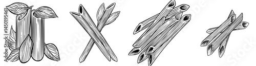 Modern traditional food of Italy, mediterranean cuisine food, represented by raw italian penne rigate pasta isolated outline icon
