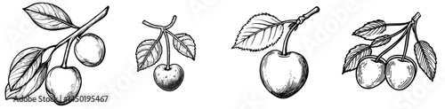 A thin line icon featuring two organic cherries with a leaf, symbolizing modern and healthy nutrition through fresh fruity berries, specifically two cherries on a stem