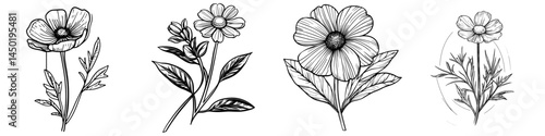 The icon of a rapeseed or canola flower is represented as a modern, isolated linear sign, featuring vibrant yellow petals and a central cluster of seeds, symbolizing the themes of agriculture, oil