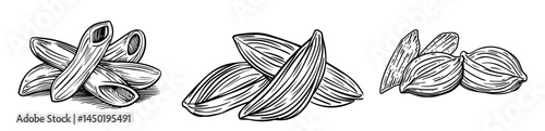 An isolated color outline icon of uncooked elbow macaroni symbolizes modern italian cuisine food, specifically uncooked durum wheat macaroni, which is a type of nutrition pasta