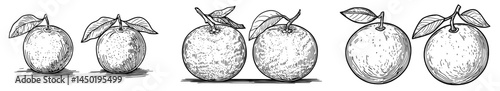 The cartoon depiction of tangerines or mandarins symbolizes Chinese New Year, a celebration tied to the lunar calendar, where whole citrus fruits like fresh mandarins and ripe tangerines are