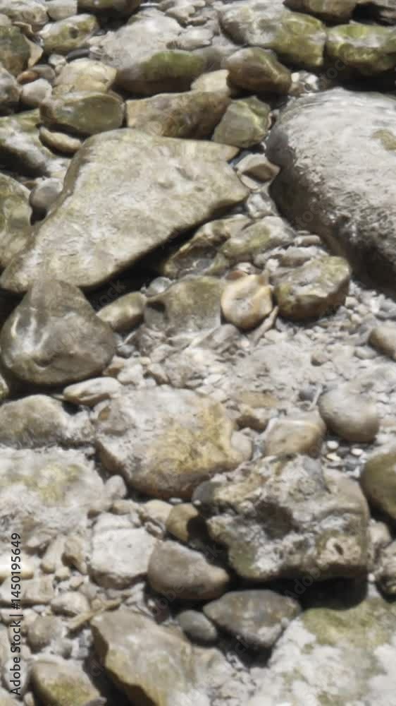 Meditative stream scene with clear water rippling over polished stones and lush moss in a pure and wild setting Meditative stream scene with clear water rippling over polished stones and lush moss in a pure and wild setting