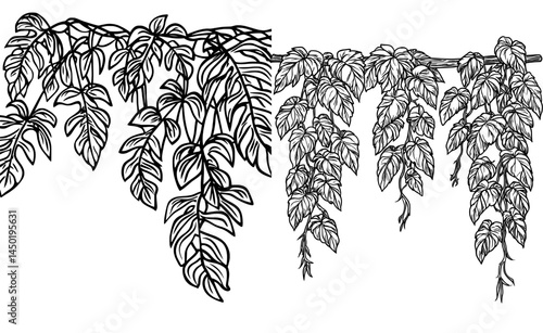 Tropical jungle rain forests, African jungles, and the Amazon are home to various flora, including vertical liana leaves, isolated cartoon vines, modern shrubs, and creeper plants with hanging ivy