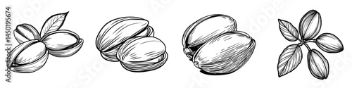 Modern vegetarian food snacks, including peeled pistachio nuts in hard shell and with leaves, are illustrated in an isolated sketch
