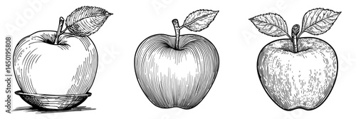Autumn or summer fruit sketch of an apple with a leaf, isolated, representing modern vegetarian dieting food