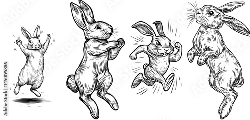 A jumping rabbit is depicted in silhouette, characterized by its long ears and whiskers, posed in a playful manner