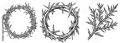 The abstract design of black thorns with sharp spikes creates a silhouette that is both bold and dynamic