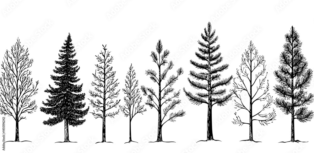 Obraz premium This graphic design features a range of tree silhouettes in black and white, highlighting various species