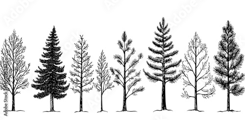 This graphic design features a range of tree silhouettes in black and white, highlighting various species