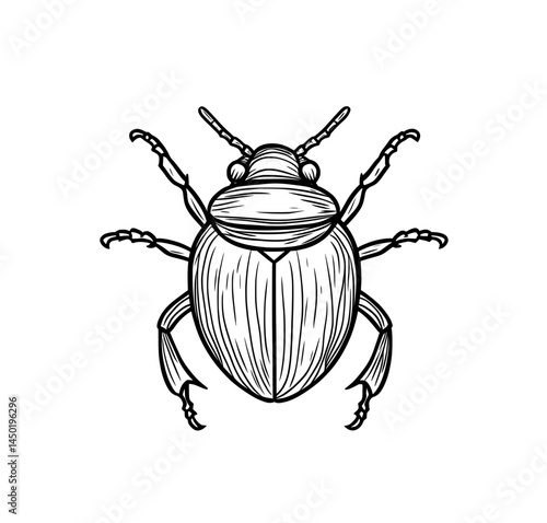 A decorative representation of a scarab beetle is depicted in monochrome, showcasing its intricate wings and horns