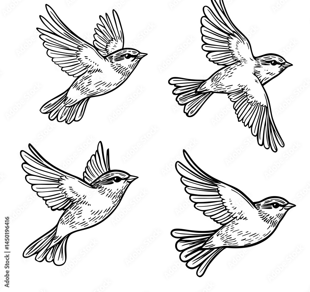 Obraz premium Bird silhouettes soaring through the air form a captivating display of agility and refinement in the environment