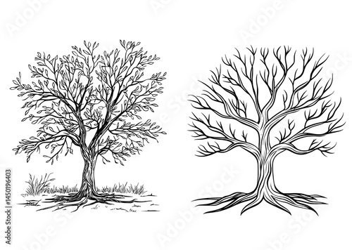 The tree's silhouette, complete with intricate branches and roots, serves as a representation of nature and growth