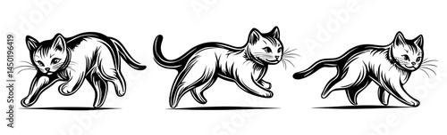 Silhouetted cats in an array of playful positions exemplify their fluid movements and innate curiosity, creating a captivating visual display
