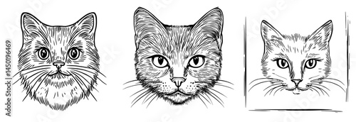 The face of a cat is represented by a stylized black silhouette that includes large expressive eyes and whiskers
