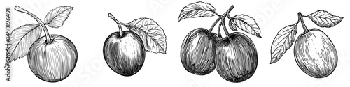 A ripe red plum, a solitary summer fruit, is the focus of a dessert, exemplifying modern vegetarian cuisine, which features damson accompanied by a green leaf