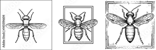 A meticulous black profile of a bee displaying its wings and bodily framework