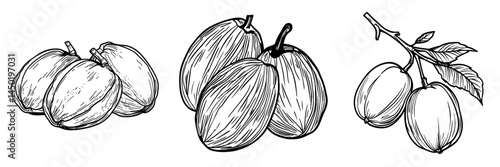 Modern isolated icon featuring apricot dried fruits, dry food snacks, and fruit sweets, highlighting dried apricots as a fruity sweet dessert and key vegetarian natural organic food ingredient