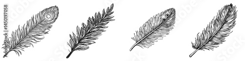 A modern icon of a peacock feather is depicted in isolation, showcasing a realistic bird plume adorned with green and gold colored ornamentation, featuring a beautiful fluffy iridescent feather from