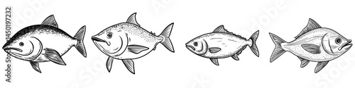 The atlantic bluefin tuna is depicted in an isolated saltwater fish sketch as a modern saltwater animal