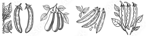 Modern natural vegetable consisting of green pea pods and seeds, depicted as isolated healthy food, with cartoon beans and veggies representing organic raw plants used as a design element on a white