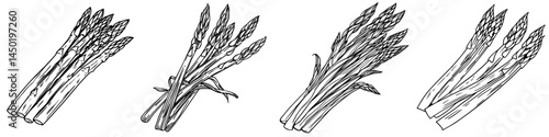 A bunch of asparagus spears, a modern and natural green vegetable, is depicted as healthy raw food isolated on a white background, serving as a cartoon element for design, representing organic