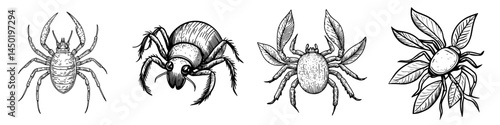 Modern isolated tick insect icon represents pest control and parasites extermination as well as disinsection services